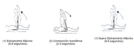 la facilitacion neuromuscular propioceptiva 01