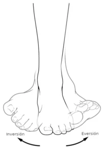 pie inversion eversion